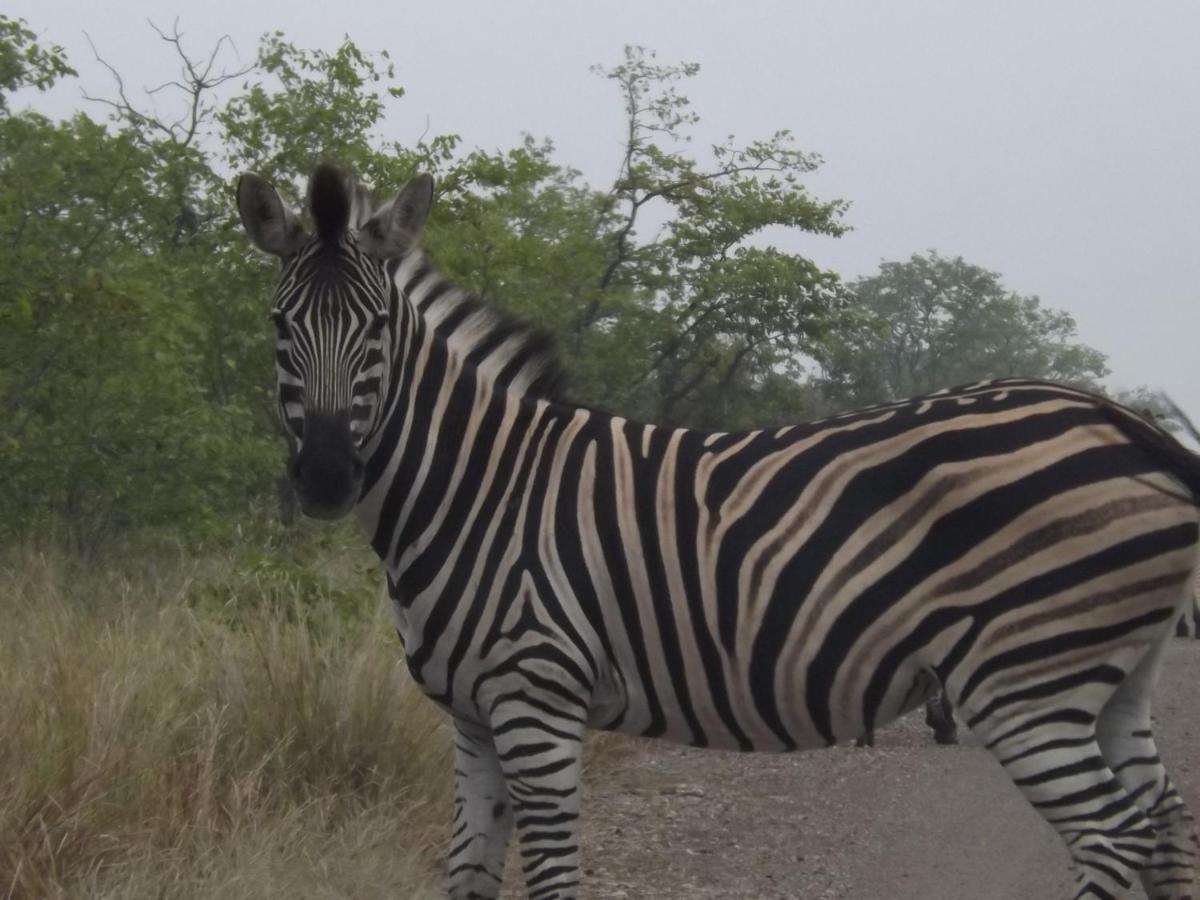 Mountain View Safari Lodge Hoedspruit Εξωτερικό φωτογραφία